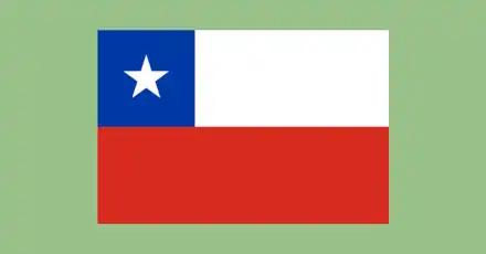 Test de Jerga Chilena. Solo si cachas bien lo podrás superar.