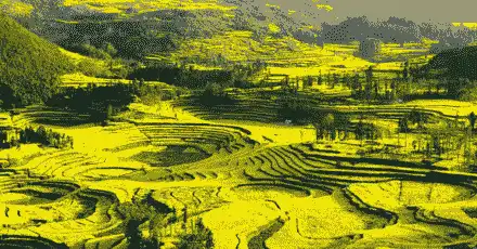 陕西话（通用版）等级考试