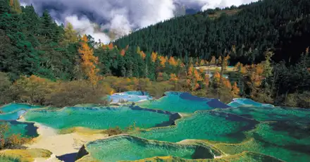 四川话等级考试(成都口音版)